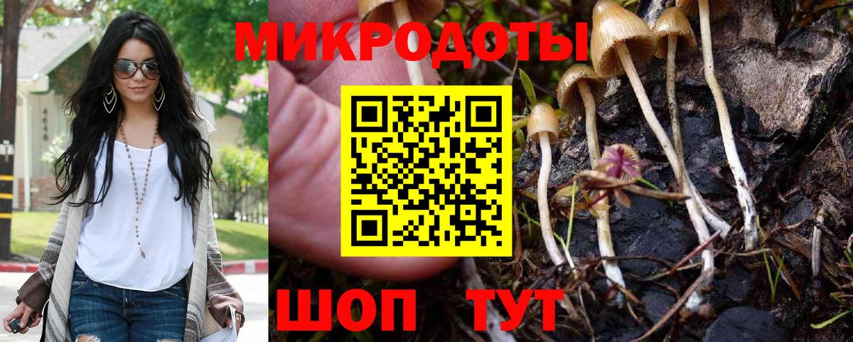 Приморско-Ахтарск  Галлюциногенные грибы Cubensis  Вход с VPN  Псилоцибиновые грибы GOLDEN TEACHER 