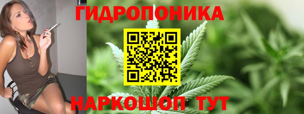 Бошки марихуана ГИДРОПОН Приморско-Ахтарск